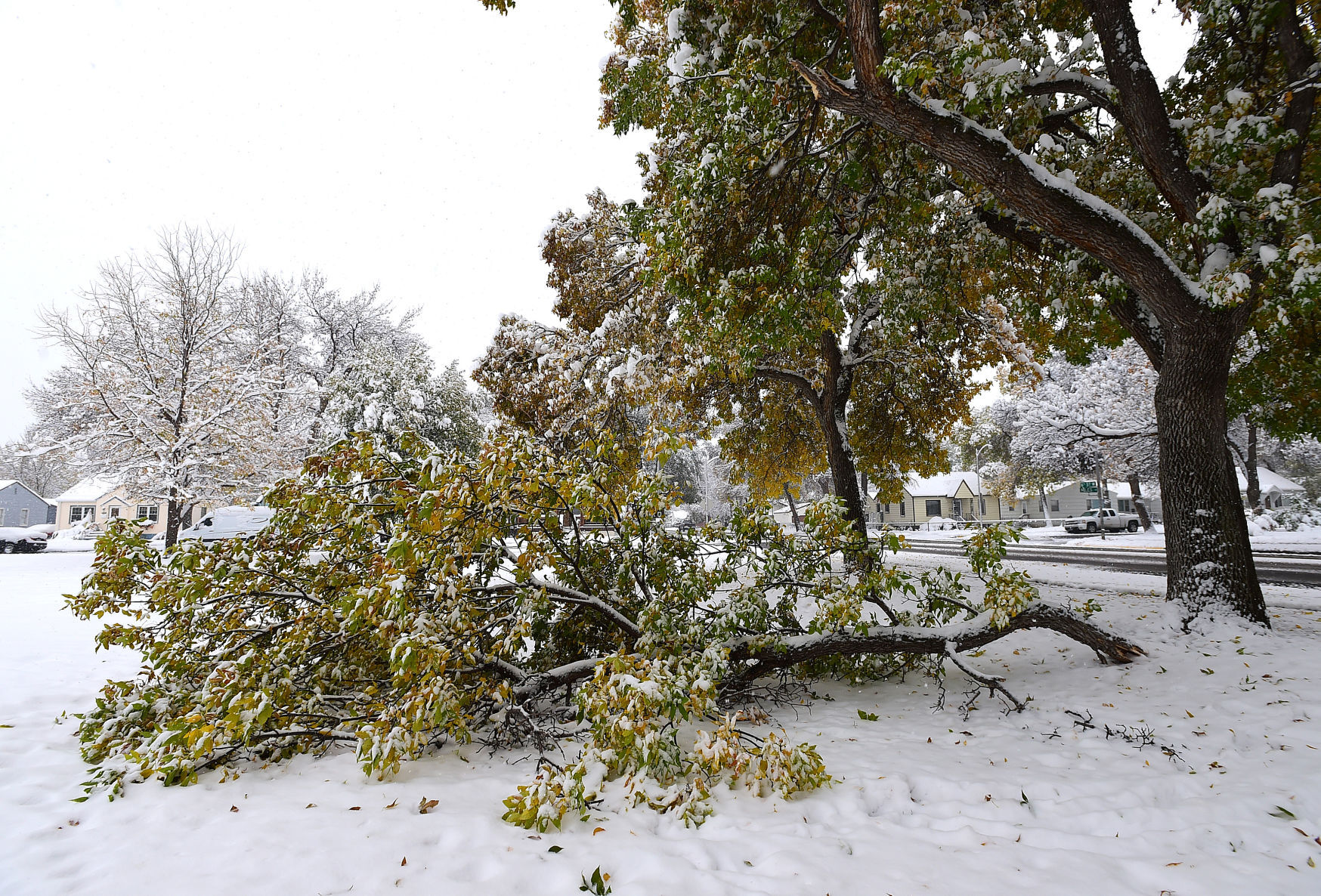 Billings snow scenes